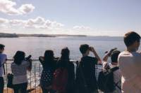 Manly and North Head Guided Coastal Walk