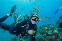 Maui Scuba Diving Introductory Lesson