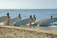 Maui Surf School Surfing Lessons