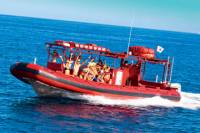 Maui Whale-Watching Tour by Raft