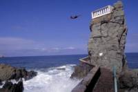 Mazatlan Shore Excursion: City Tour and Cliff Diving Show