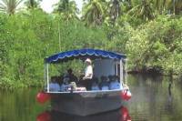 Mazatlan Shore Excursion: Estero Ecological Reserve Jungle Tour