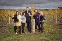 McLaren Vale Winery Tour from Adelaide Including Wine Tasting and Lunch
