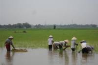 Mekong Delta 3-Day Small Group Tour Including Biking and Floating Markets