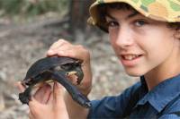 Melbourne Wetlands Turtle Expedition with Local Scientist