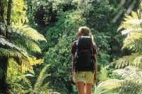 Milford Track Guided Day Walk from Te Anau
