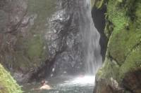 Mindo Cloud Forest Day Trip from Quito