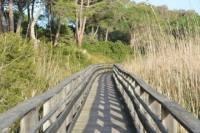 Molentargius Natural Park Segway Tour