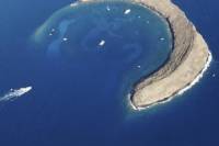 Molokini and Turtle Town Snorkeling Adventure