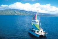 Molokini Sail and Snorkel Adventure
