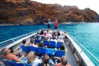 Molokini Wild Side: Snorkel And Cruise From Maui