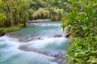 Montego Bay Shore Excursion: Dunn's River Falls