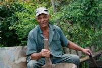 Montego Bay Shore Excursion: John's Hall Adventure Tour