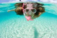 Moorea Snorkeling Safari
