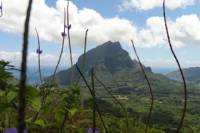 Moorea Three Coconuts Trail Guided Hike