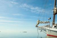Morning and Afternoon Half Day Cruise