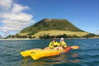 Mount Maunganui Kayaking Adventure