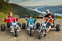 Mountain Cart in Are