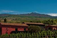 Mt Etna Wineries Tour from Taormina