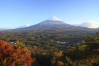 Mt Fuji and Aokigahara Forest Day Trip from Tokyo