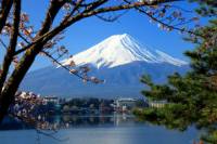 Mt Fuji Day Trip including Lake Ashi Sightseeing Cruise from Tokyo