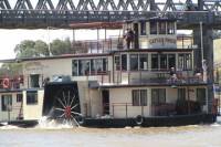 Murray River Lunch Cruise by Paddle Wheeler from Murray Bridge
