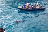 Na Pali Coast Snorkel and Rafting Adventure