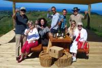 Napier Afternoon Wine Tour