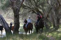 Neergabby Horse Riding Tour