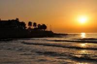 Negril Sightseeing Tour with Sunset at Rick's Cafe