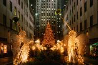 New York City Holiday Lights Tour