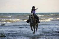 Niagara Beach Horseback Ride