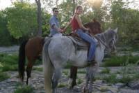 Niagara Falls Horseback Riding