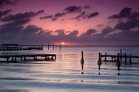 Nichupte Lagoon Wildlife Tour