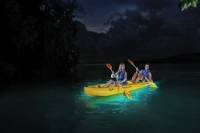 Night Kayak in Vieques PR Bioluminescent Bay