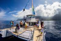 Niihau and Na Pali Coast Kauai Snorkel Cruise with Optional Scuba