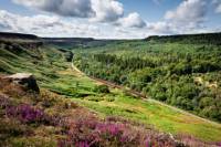 North York Moors Small-Group Day Trip from York