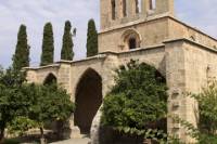 Northern Cyprus Day Trip from Paphos and Limassol