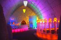 Northern Lights and Chena Hot Springs Night Tour from Fairbanks