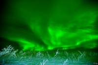 Northern Lights Murphy Dome Viewing in Fairbanks
