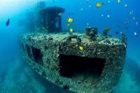 Oahu Atlantis Submarine Adventure and Sunset Dinner Cruise