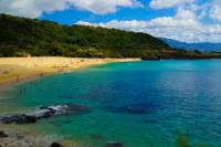 Oahu North Shore Adventure Half-Day Tour