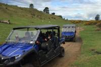 Off-Road 4WD Buggy Adventure from Rotorua