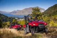 Off-Road U-Drive Challenger Buggy Tour from Queenstown