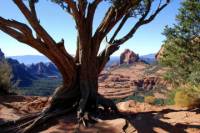 Old Bear Wallow Tour from Sedona