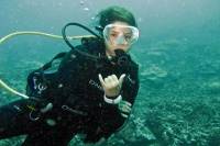 One Tank Dive For Certified Diver