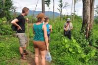 Opium Trail Trek Including Wat Phra That Doi Suthep and Hmong Village Tour