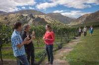 Original Wine Tour - Queenstown
