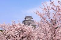 Osaka Full-Day Walking Tour with Osaka River Cruise
