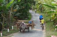 Oudong's Country Trails Bike Tour from Phnom Penh